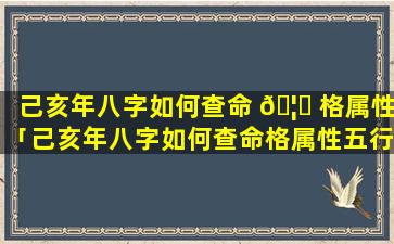 己亥年八字如何查命 🦄 格属性「己亥年八字如何查命格属性五行」